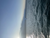 TGIF sailing 